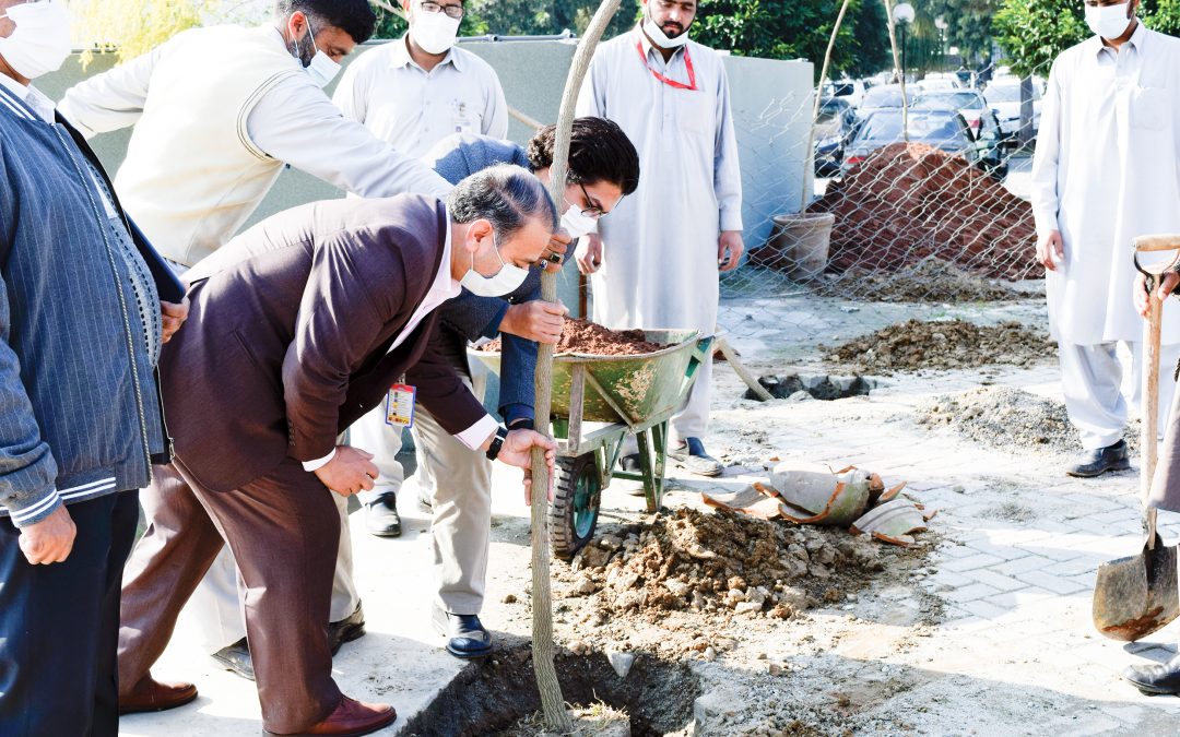 Shifa Tree Plantation Drive Under Prime Minister’s “Clean Green Pakistan Campaign”