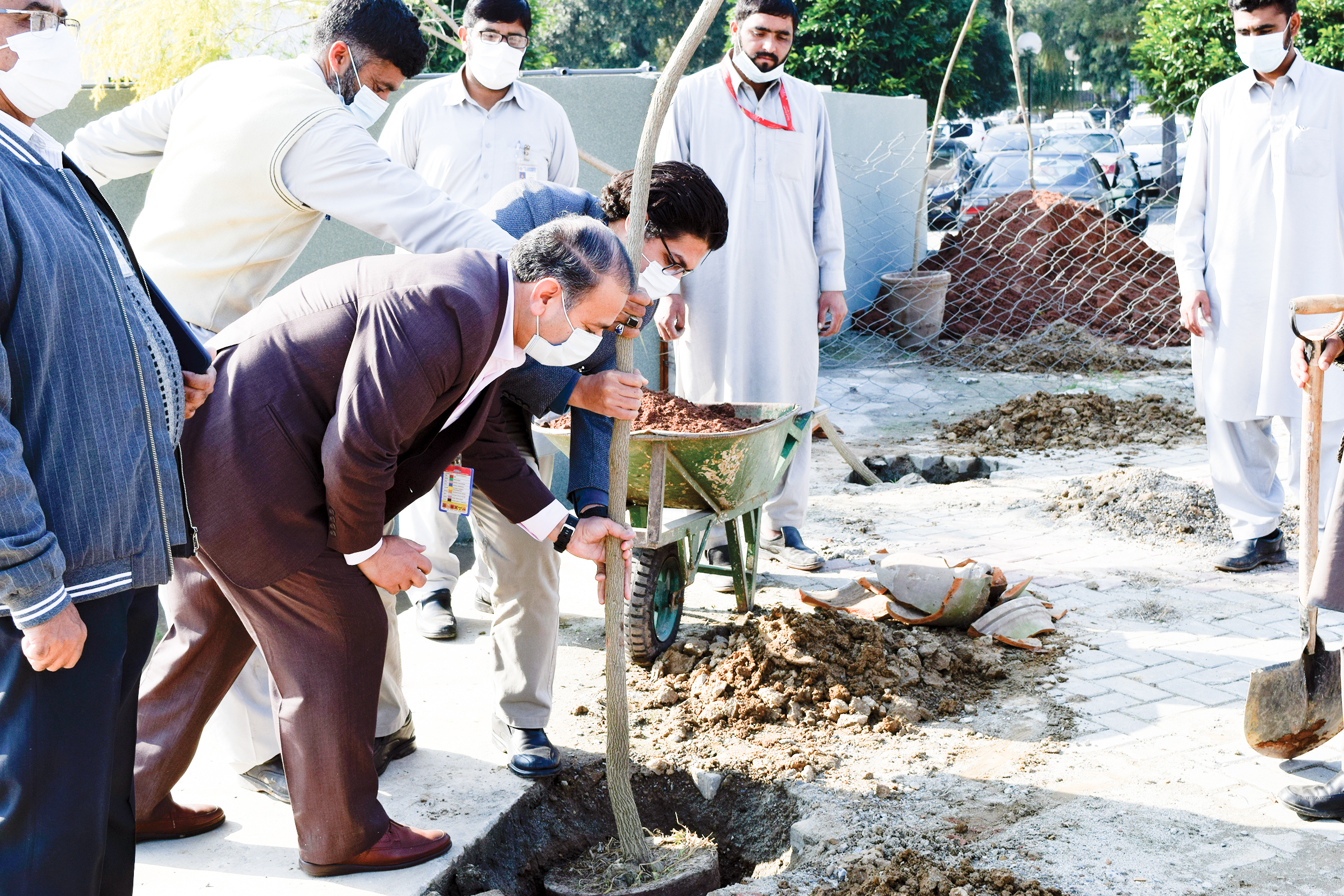 Shifa Tree Plantation Drive-min